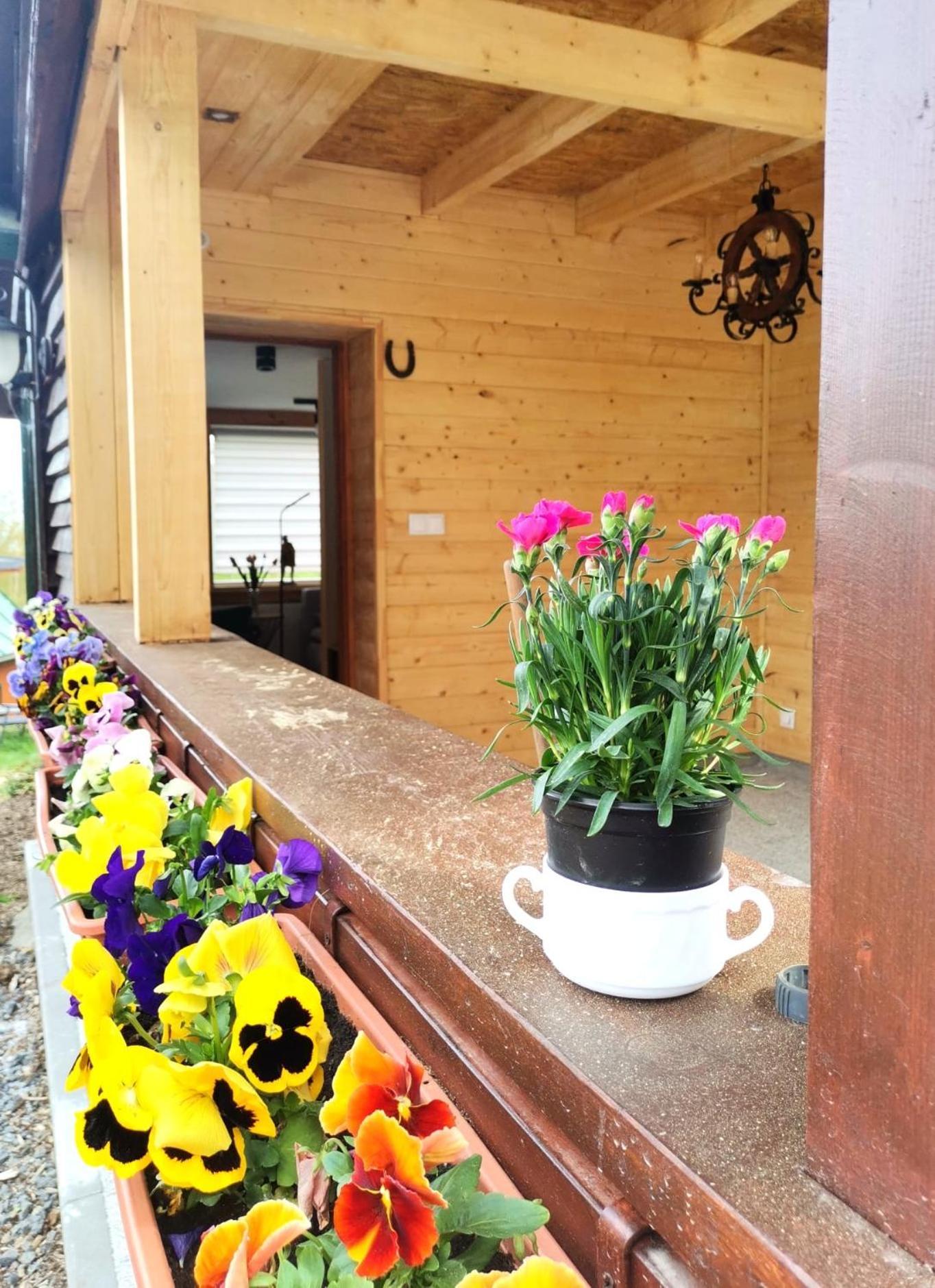 Chybotek Premium Domek Danusia Przesieka Exterior foto
